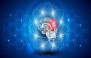 The Connection Between Fish Oil and Cognitive Longevity
