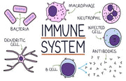 Omega-3 and Immunity: How It Strengthens Your Body’s First Line of Defense