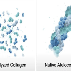 Hydrolyzed vs Native Collagen: Which Delivers Results Faster?