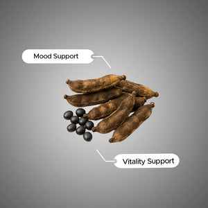 Mucuna