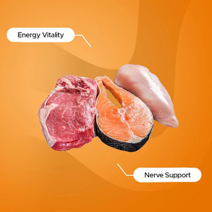 Vitamin B12