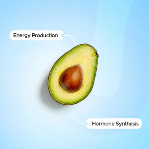 Pantothenic Acid