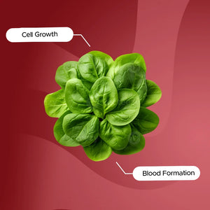 Vitamin B9