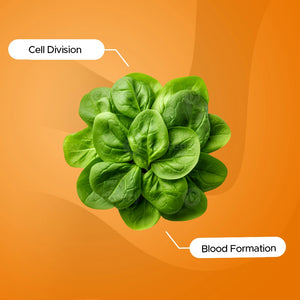 Folate