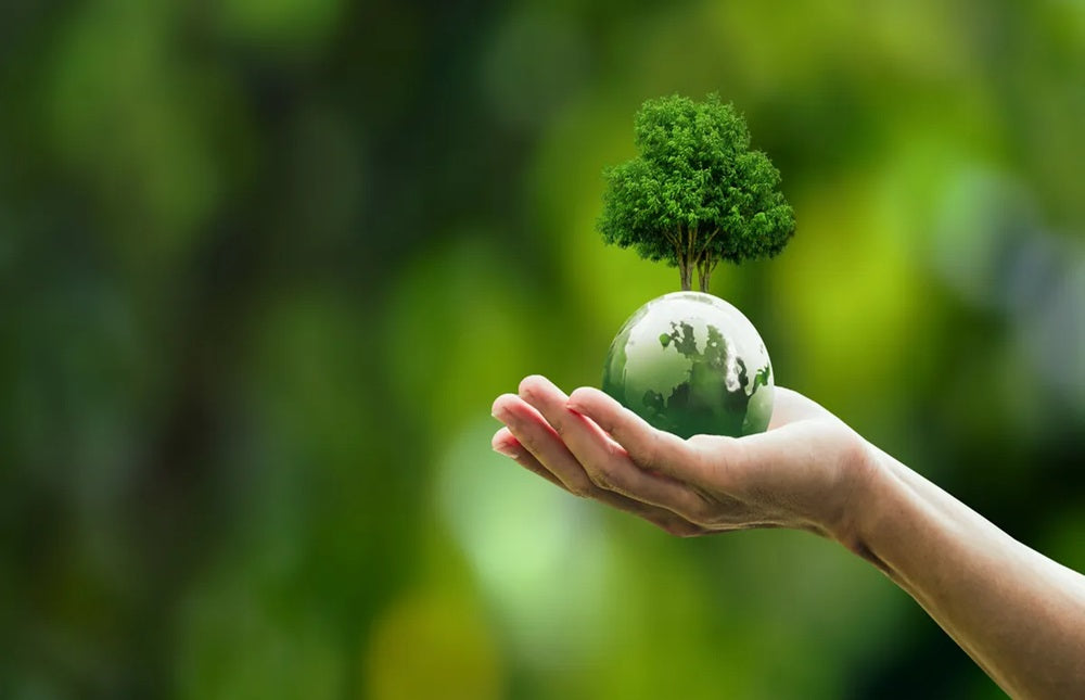Sustainable Omega-3: How Choosing the Right Supplement Supports Your Health and the Planet