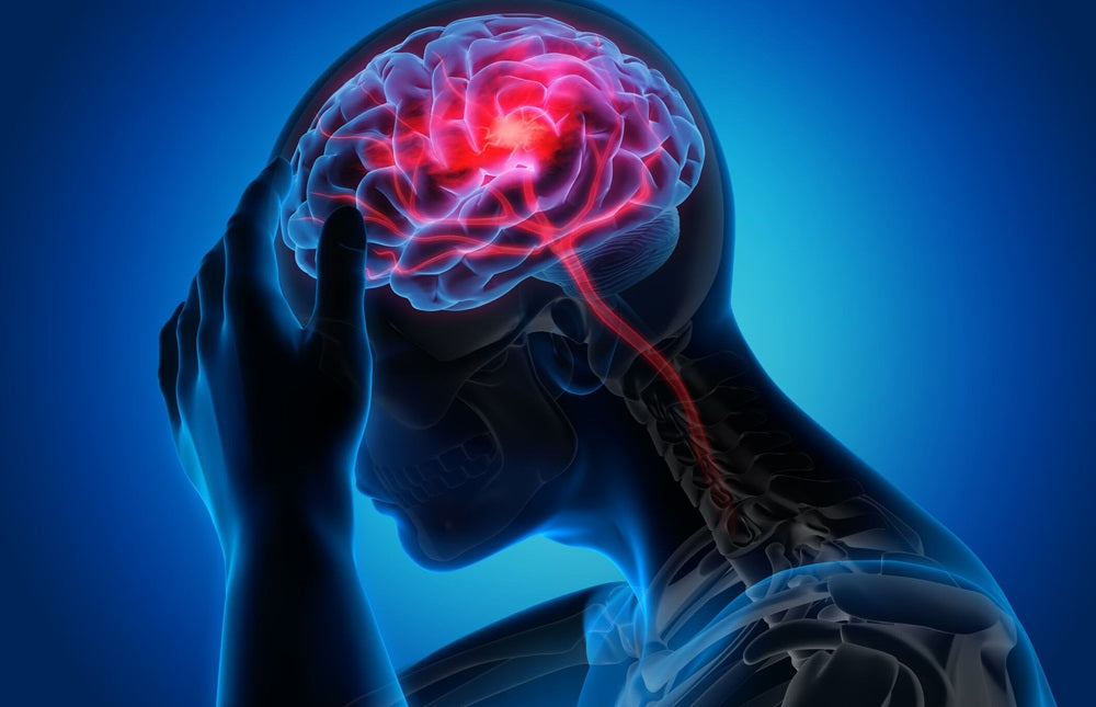 Brain Fog? How Omega-3 Can Help Clear It Up