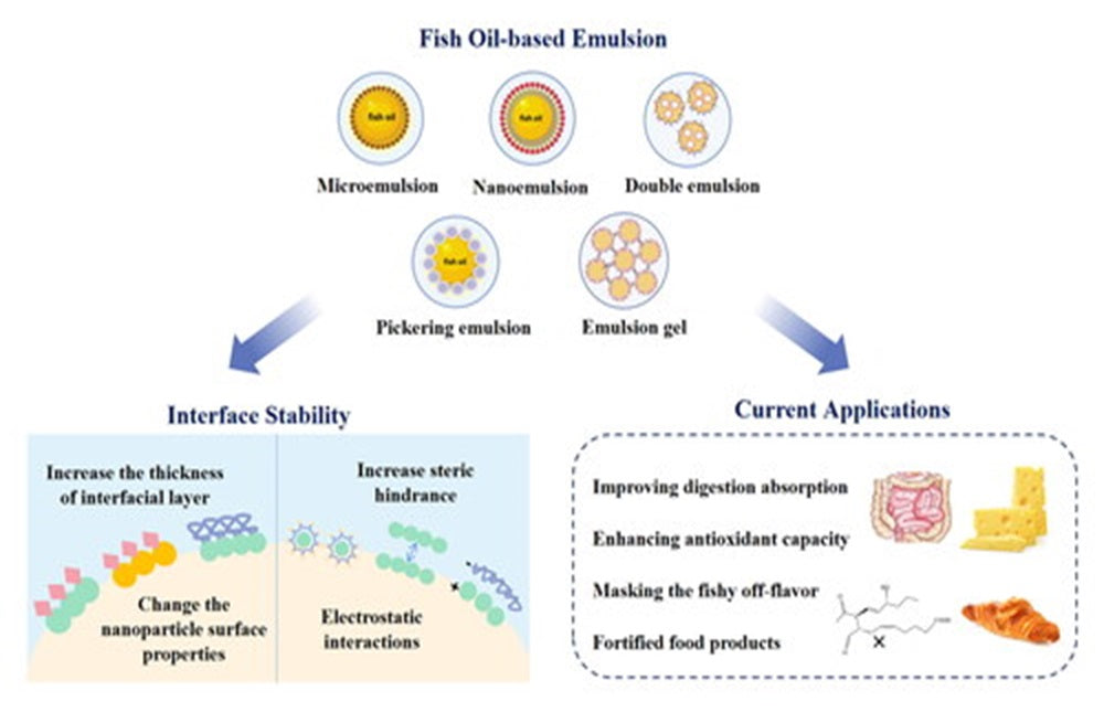 Fish Oil for Better Digestion? The Gut Connection