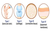 Types of Collagen: Type I, II & III – What’s the Difference?