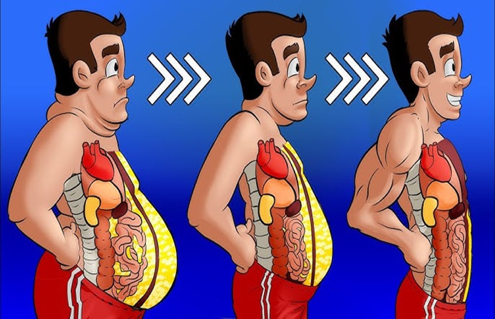 Omega-3 for Fat Loss and Lean Muscle Gains