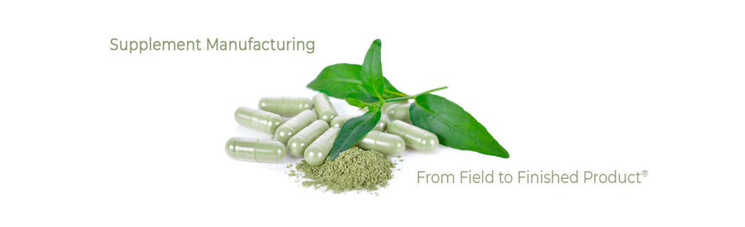 Supplement manufacturing process with green capsules and leaves on a white background
