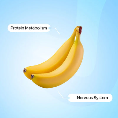 Vitamin B6