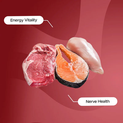 Vitamin B12