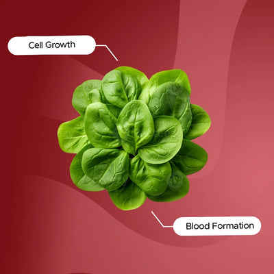 Vitamin B9