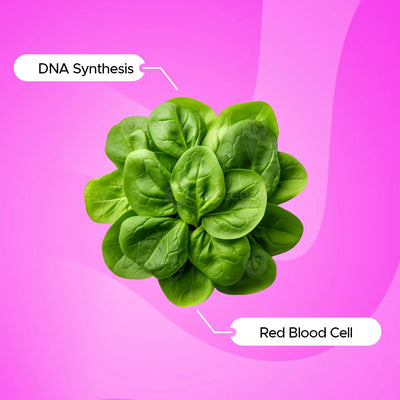 Folic Acid