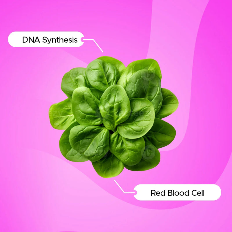 Folic Acid