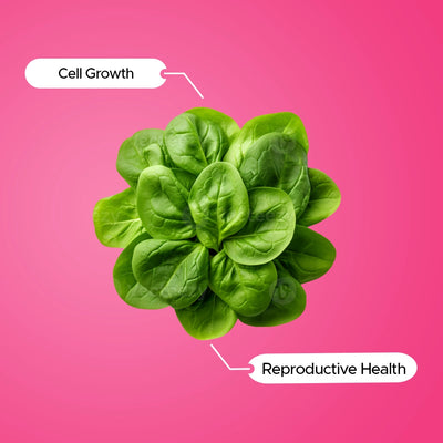 Folic Acid