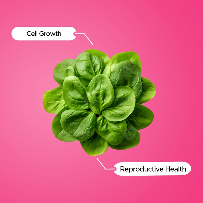 Folic Acid