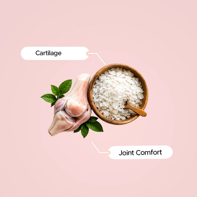 Chondroitin Sulphate