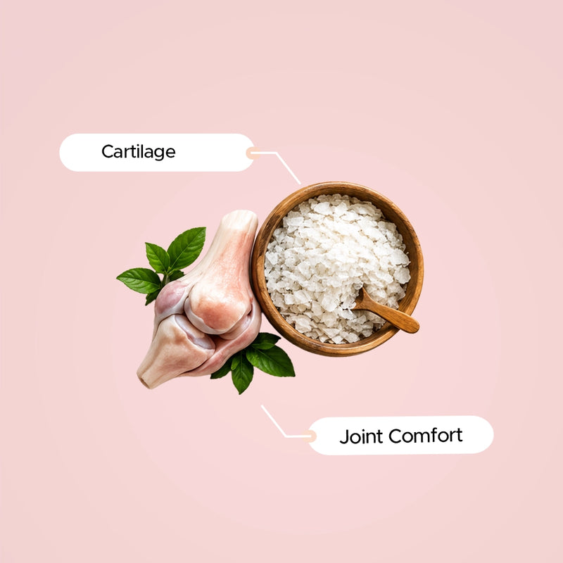 Chondroitin Sulphate