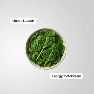 Magnesium