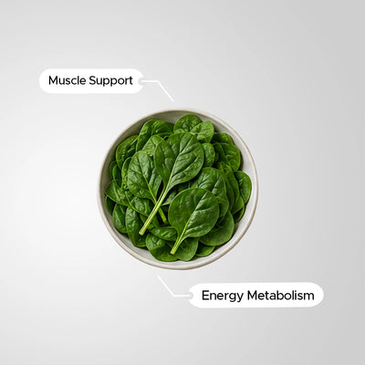Magnesium