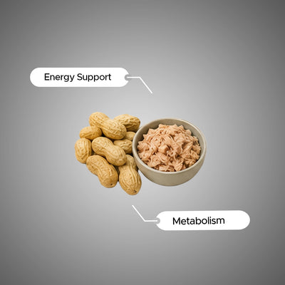 Vitamin B3